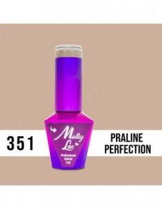 MOLLY CHOCO DREAMS 351 PRAILINE PERFECTION 10ml