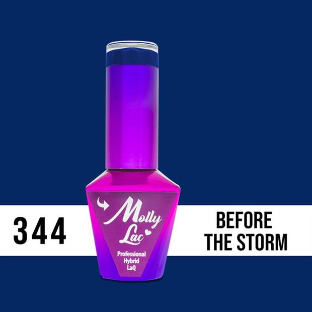 MOLLY FASHION OUTFIT 344 BEFORE THE STORM 10ml