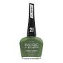 ESMALTE GEL EVOLUTION  ACTIVISTA 13.5ML